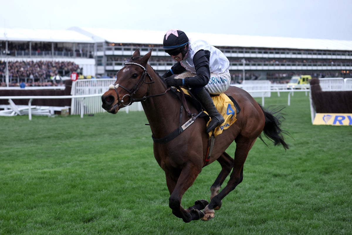 Redknapp eyes Cheltenham Gold Cup glory with Jukebox Man