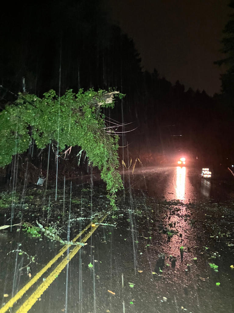 Hwy 43 closed near Lake Oswego due to downed trees, power lines