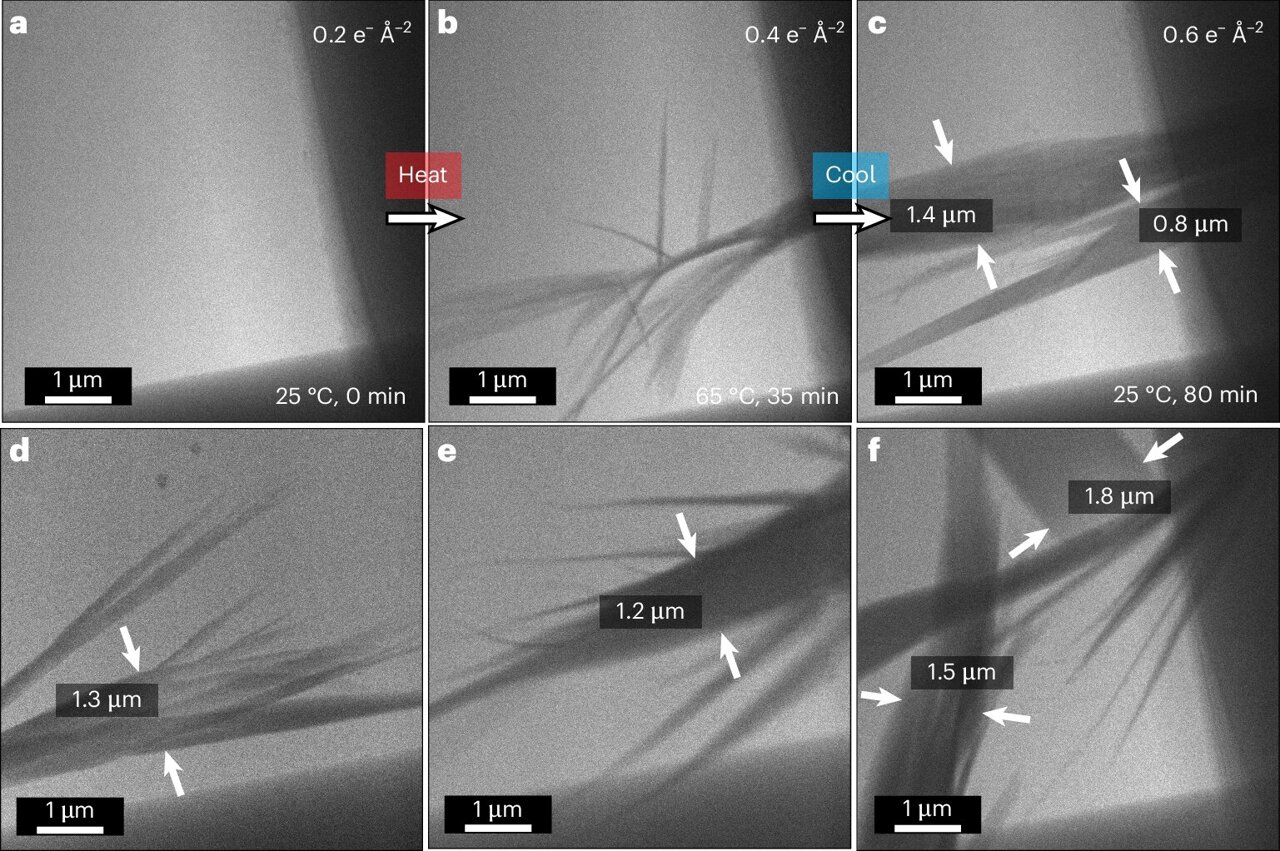 A common hydrogel may be built differently than assumed, with big ...