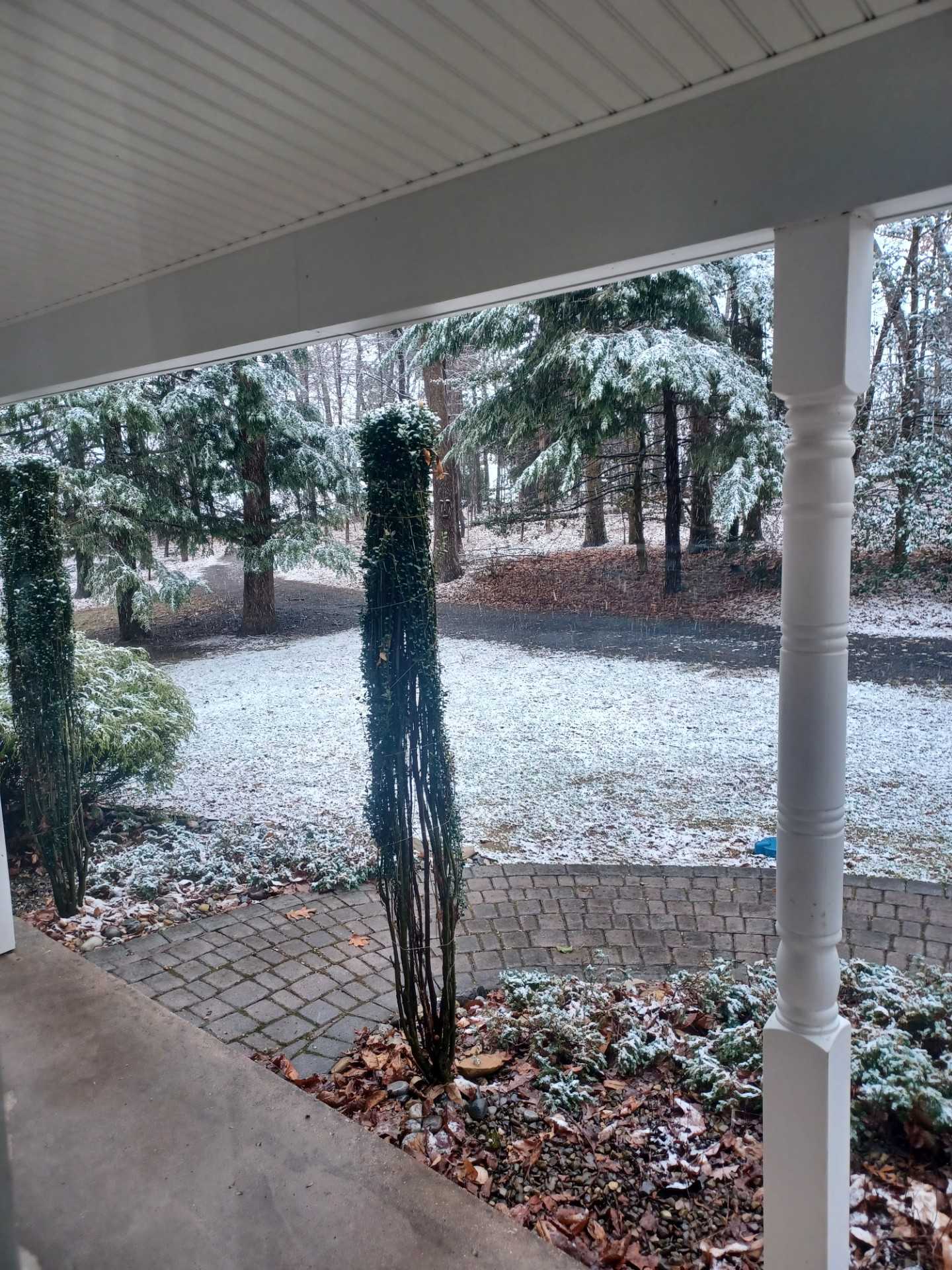 Yesterday we set a record high | Today, it's snowing!