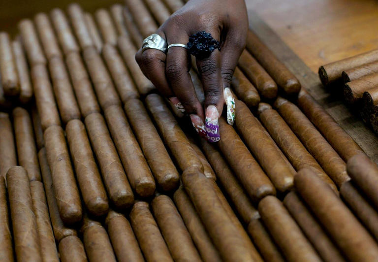 A worker selects cigars at a cigar factory in Havana, Cuba. (Ramon Espinosa/The Associated Press)