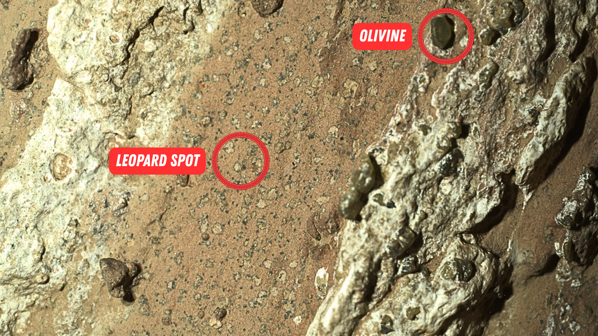 NASA’s Perseverance rover finds a rock that could contain 'alien ...