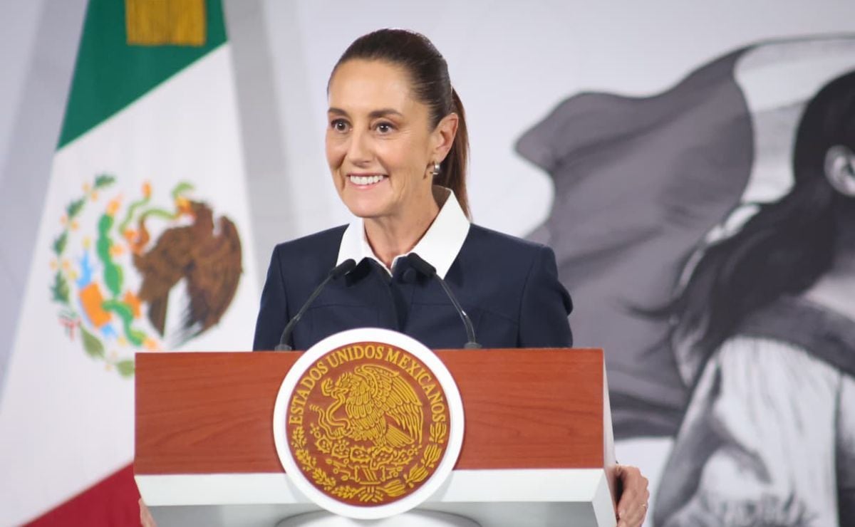 ¿En qué consiste el Plan B de la reforma electoral de Sheinbaum ...
