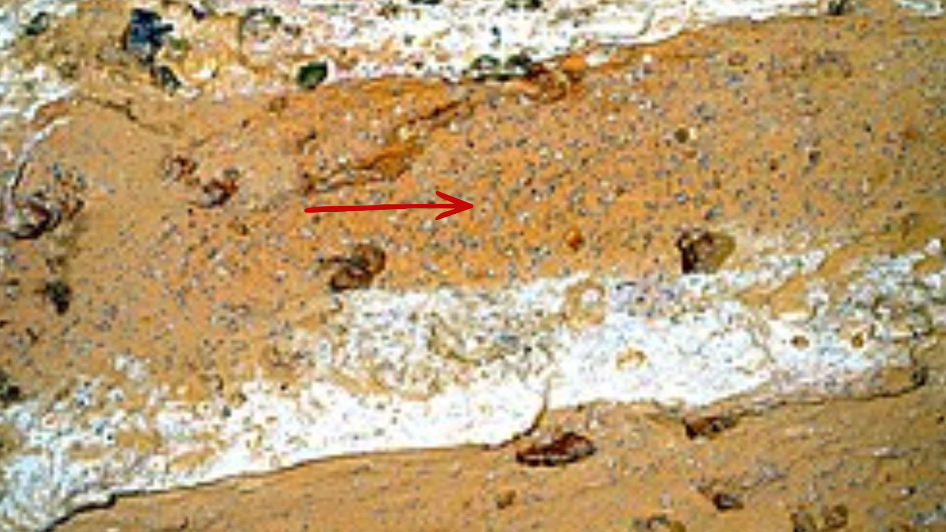 NASA’s Perseverance rover finds a rock that could contain 'alien ...