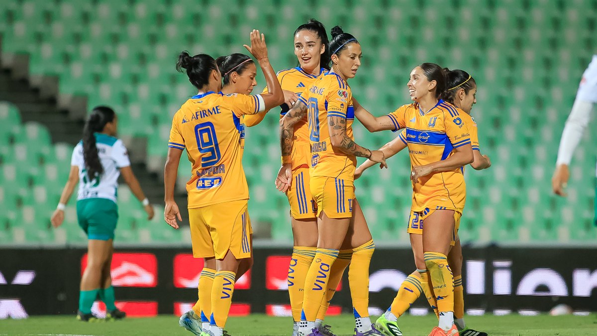 Tigres Femenil vs Santos en vivo: dónde ver y a qué hora juegan hoy ...