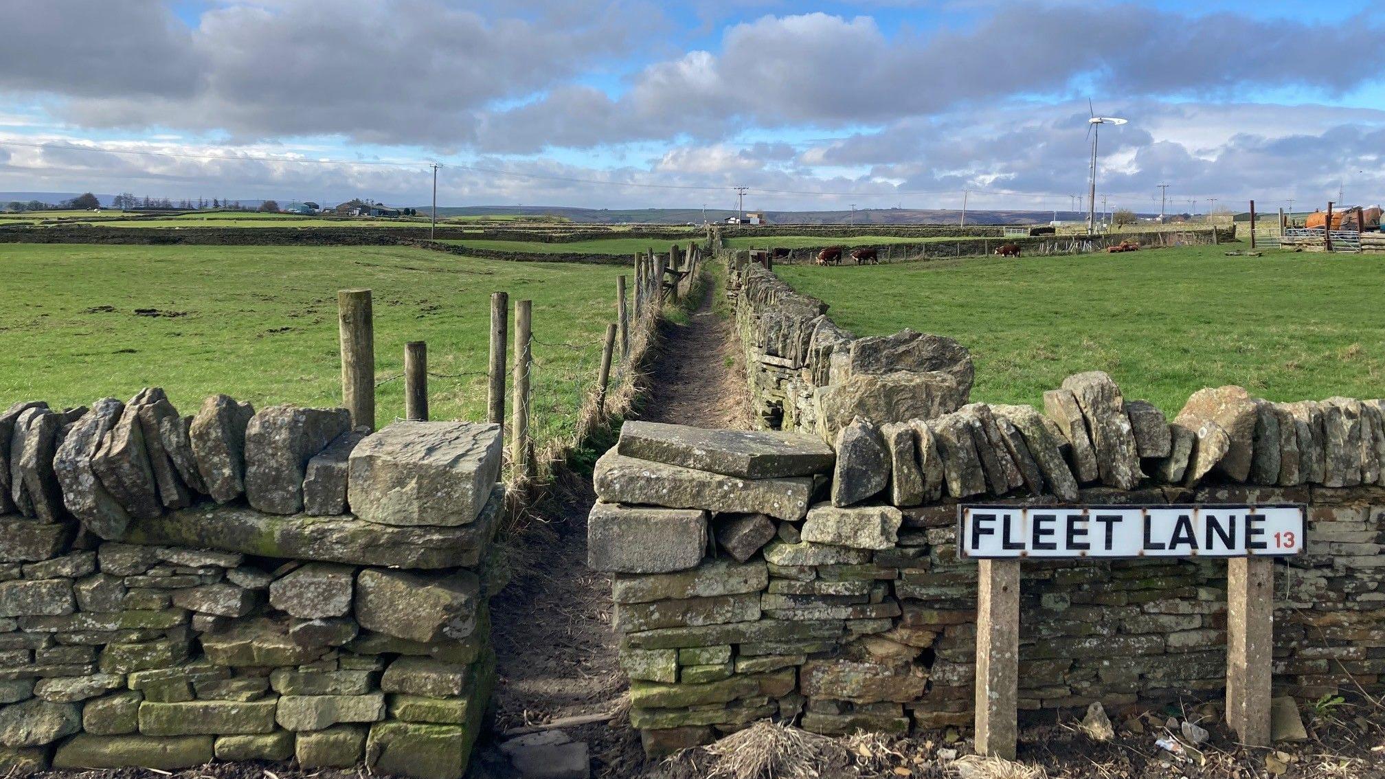 Councillors back 295-home plan for green belt land