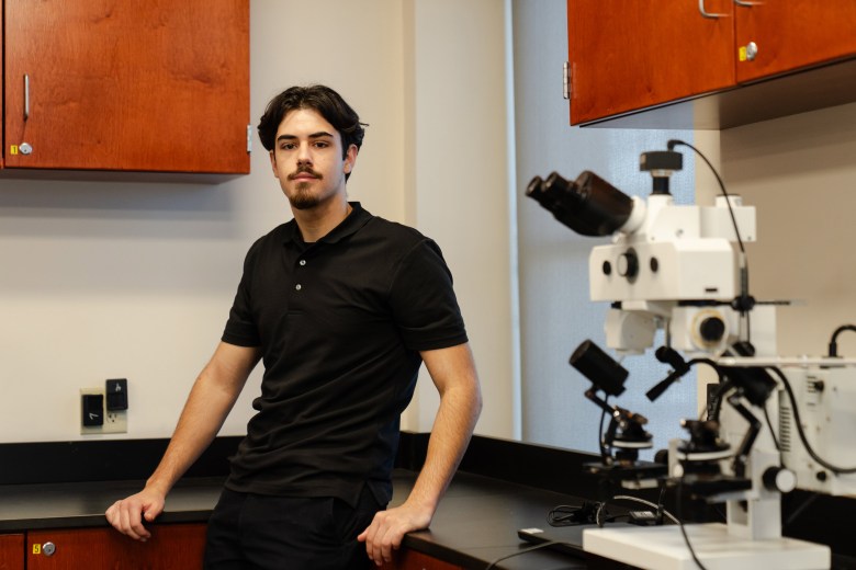 Faster, thinner: Colleges are swiftly trimming a BA degree to three years