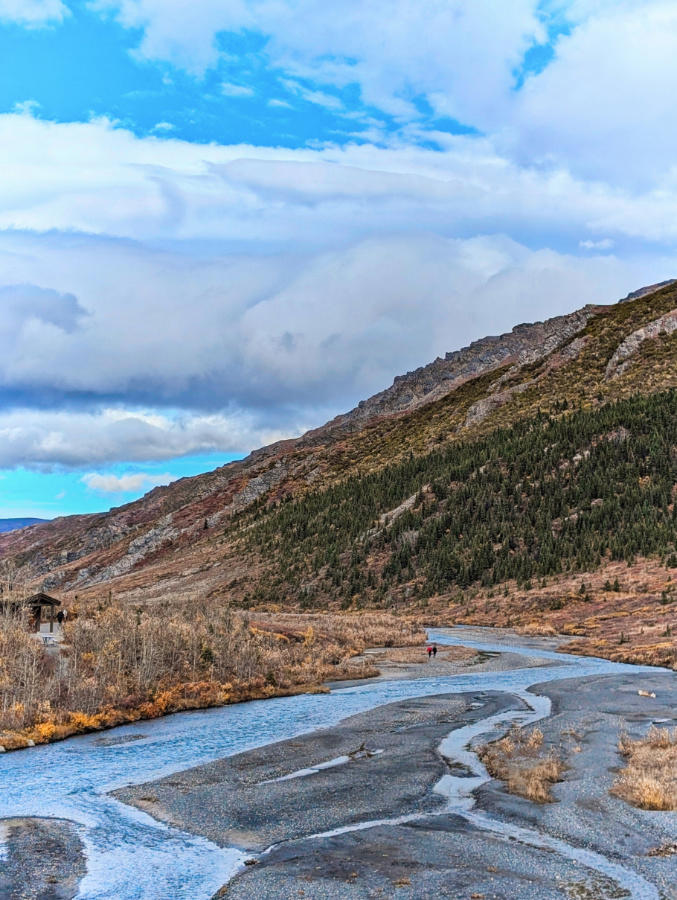 Unforgettable 7 day Alaska road trip: Kenai Fjords to Denali National Park