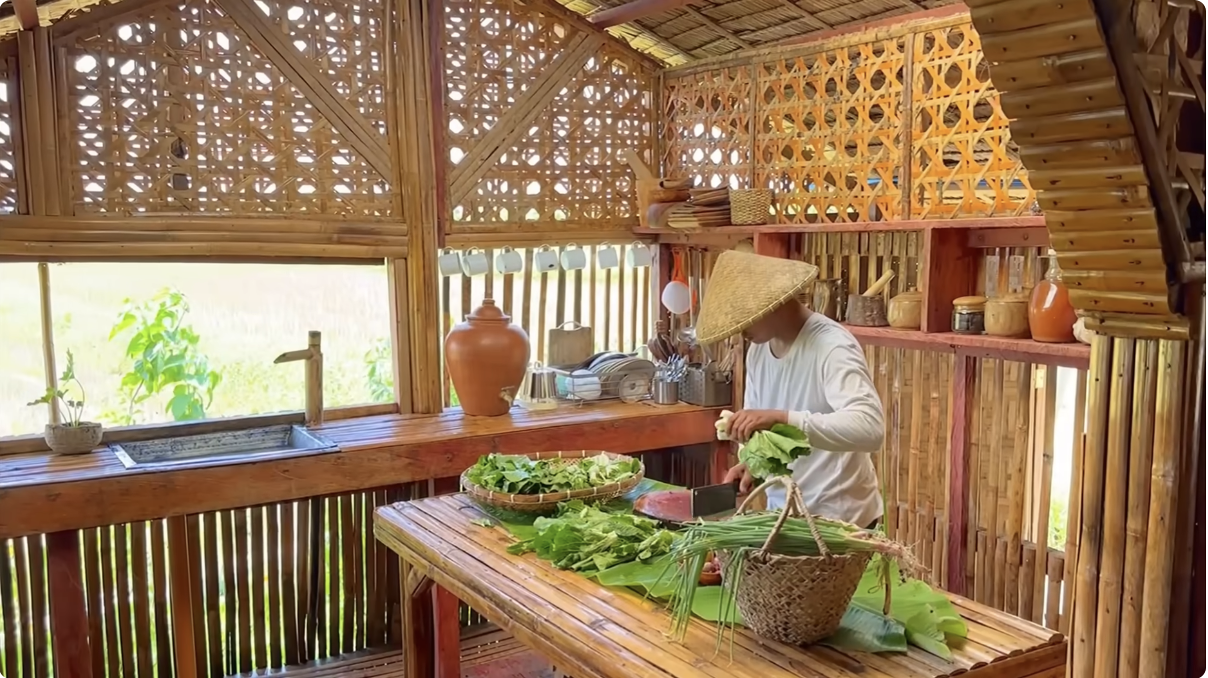 Harvesting Pechay from my backyard and cooking it into a healthy ...