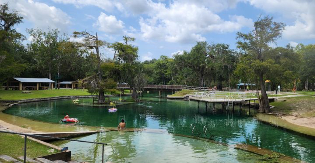 This Florida spring has something for everyone and more wildlife than ...