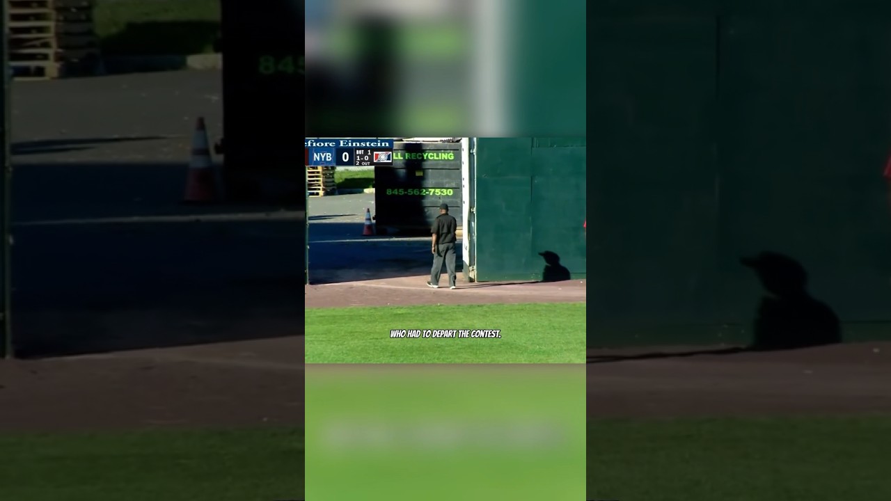 This is the first umpire ejection in recorded baseball history