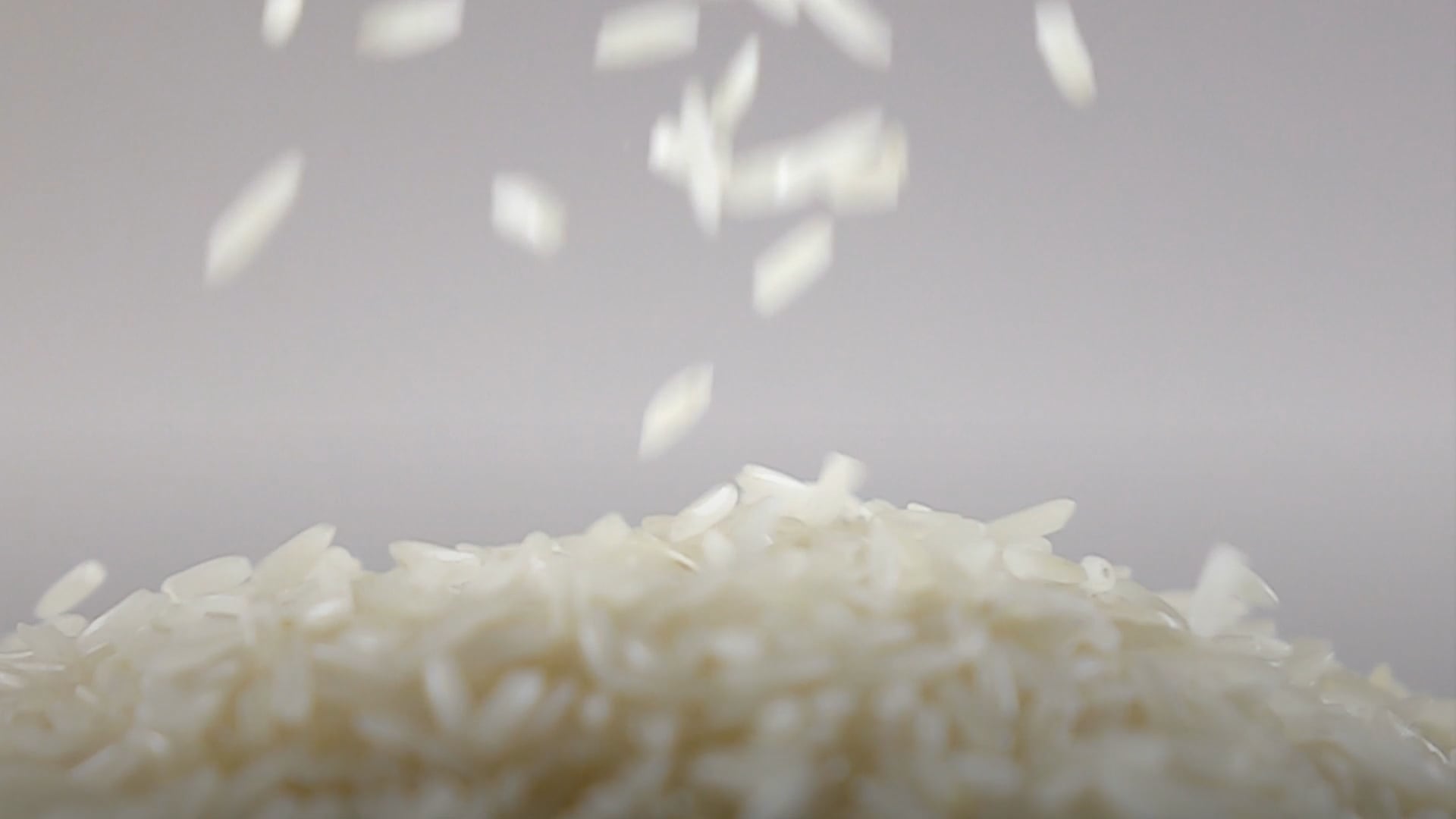 Arroz blanco vs. arroz integral: ¿cuál es la diferencia?