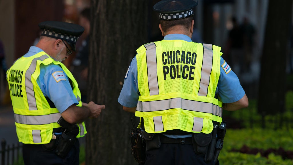 Domestic violence homicides up 15% in Chicago; Cook County creates ...