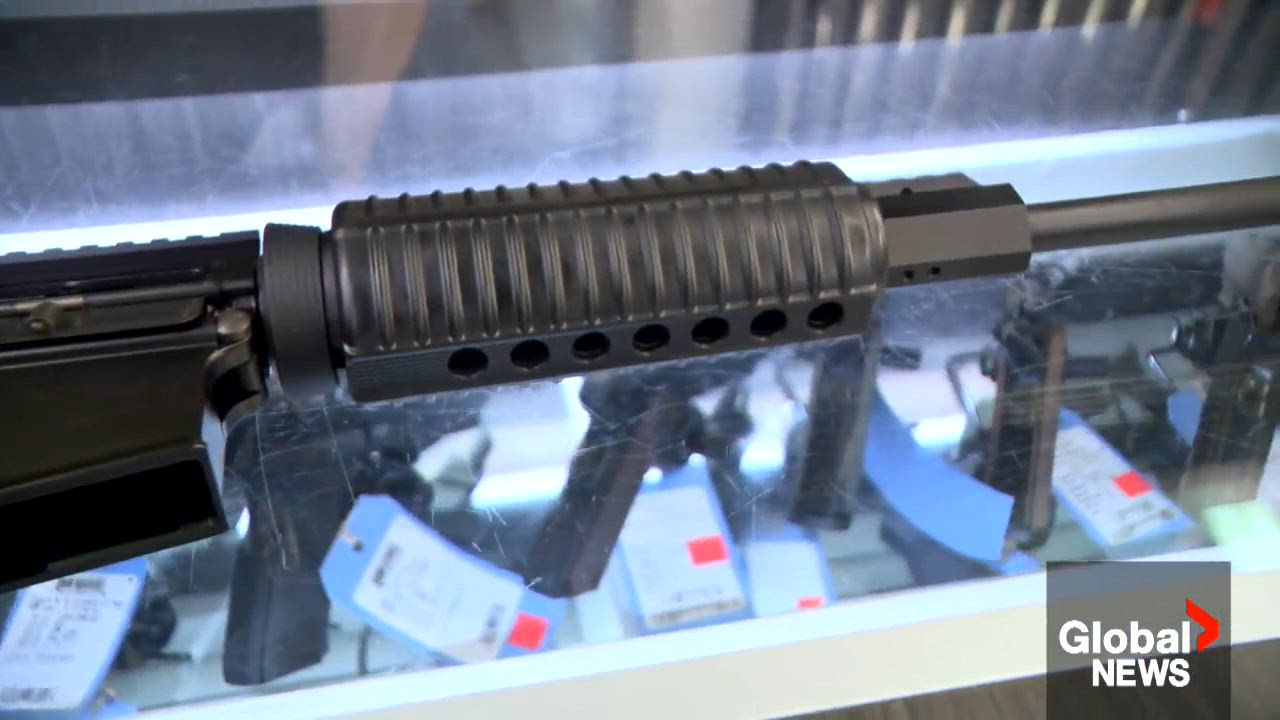Sask. government creates exemptions for assault-style firearms ...