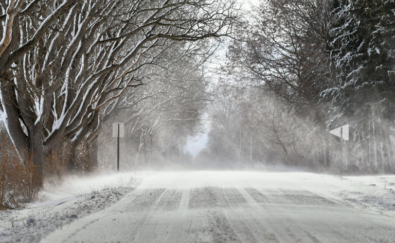 High winds expected to batter Lower Michigan, Lansing area