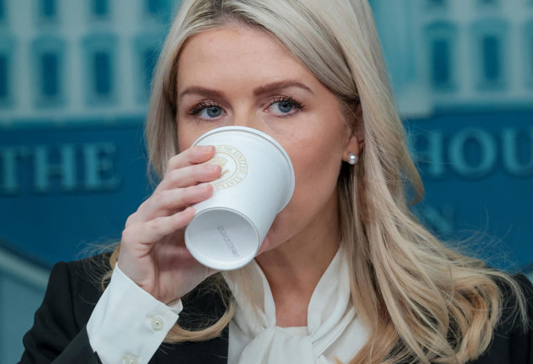 Karoline Leavitt Caught Fumbling Trump’s War Sell