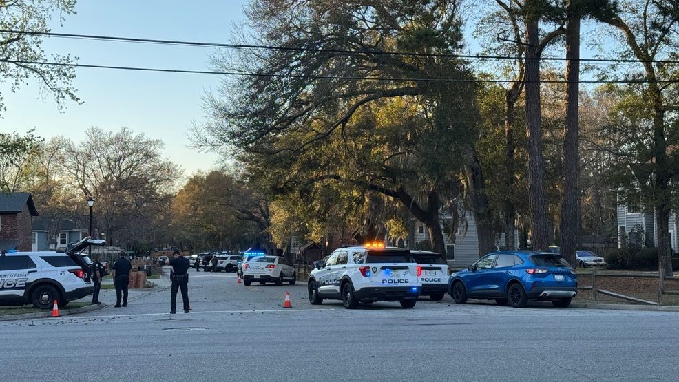 Mount Pleasant police arrest man accused of pointing gun during ...