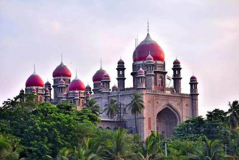HC asks govt to frame policy on regularisation of contract staff