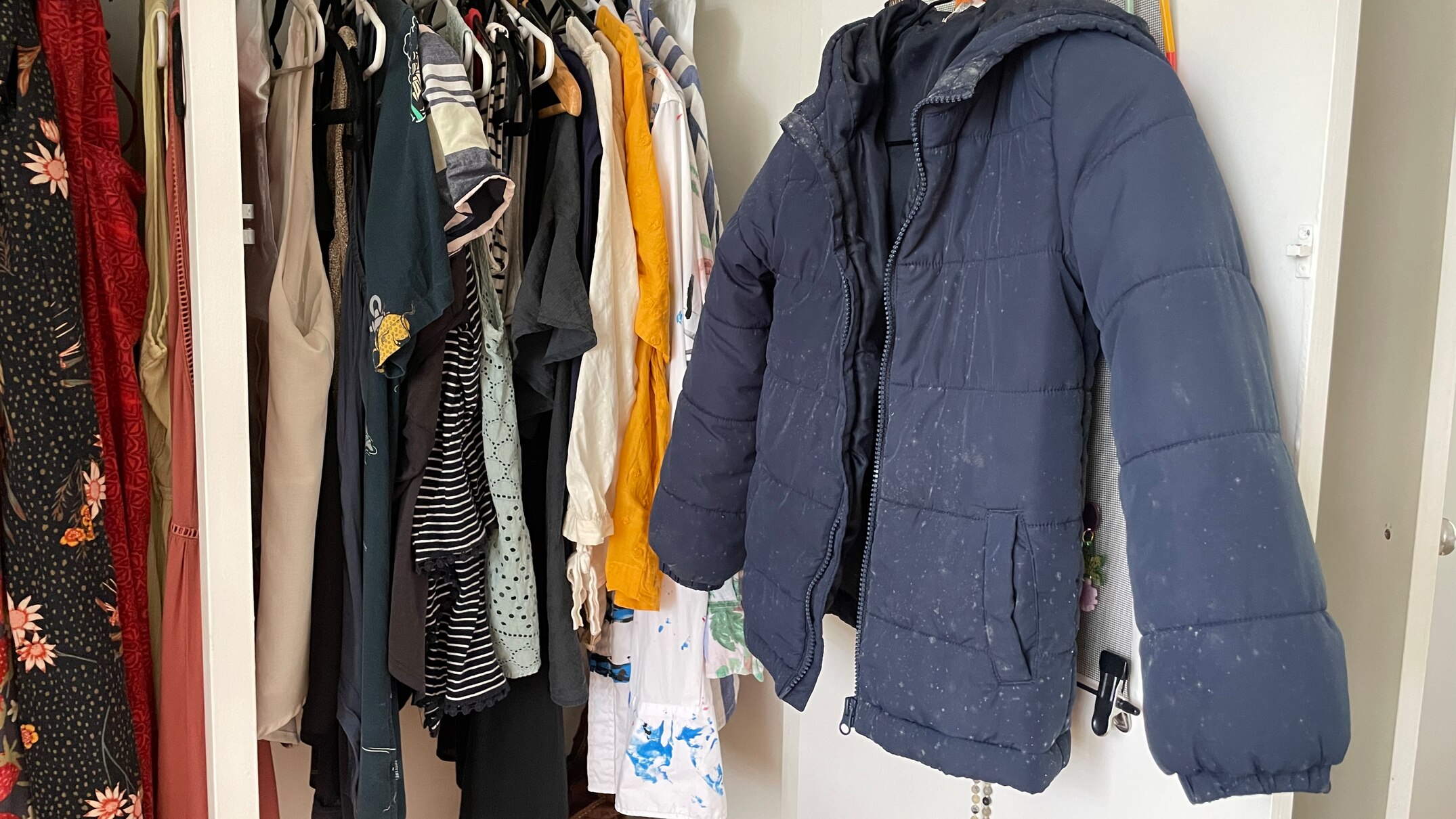How to remove mould from clothing and stop it growing in wardrobes and ...