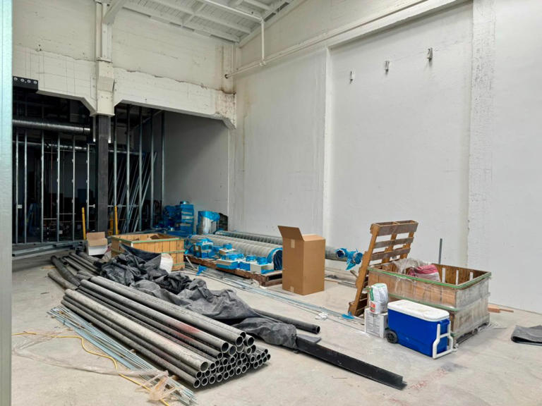 Gavin Newsom promised over one hundred mental health projects — many ...