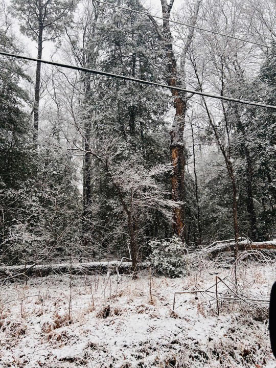 Photos: Snowfall surprises Central Virginia after warm weather