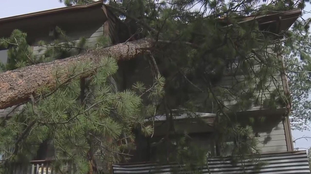 Downed trees, flipped semi-trucks, power outages, a brush fire: Wind ...