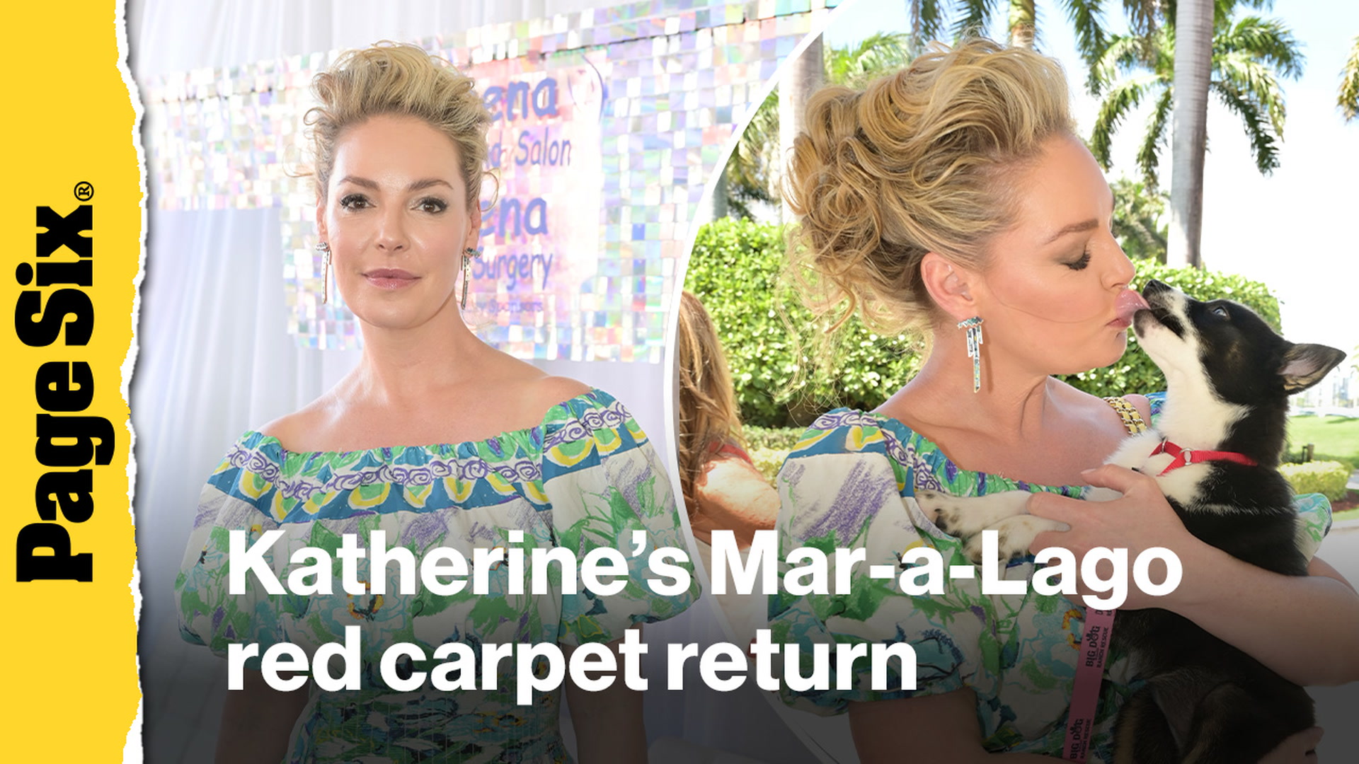 Katherine Heigl hits first red carpet in 2 years, attends dog rescue ...
