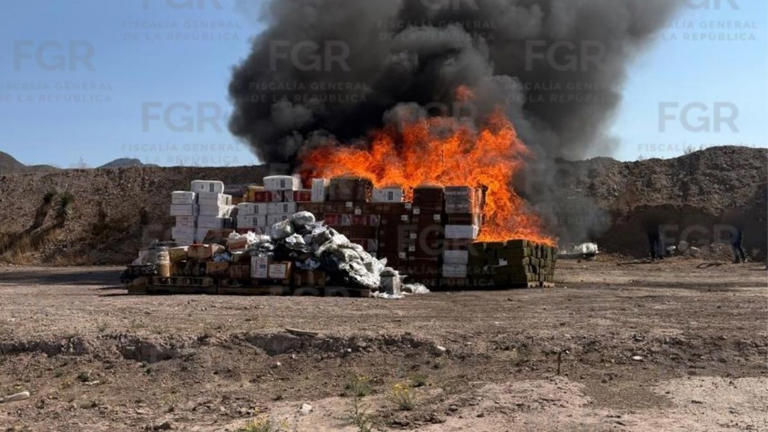 FGR elimina más de una tonelada de diferentes drogas asegurada en Coahuila