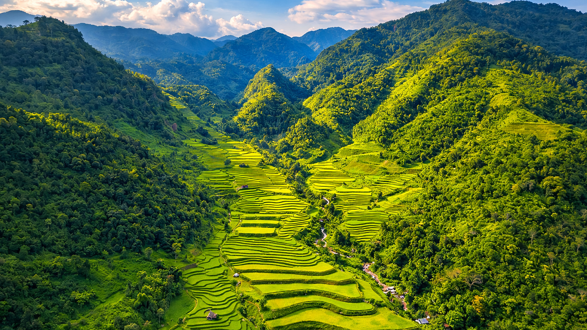 Fansipan Mountain and the terraced rice fields of Sa Pa