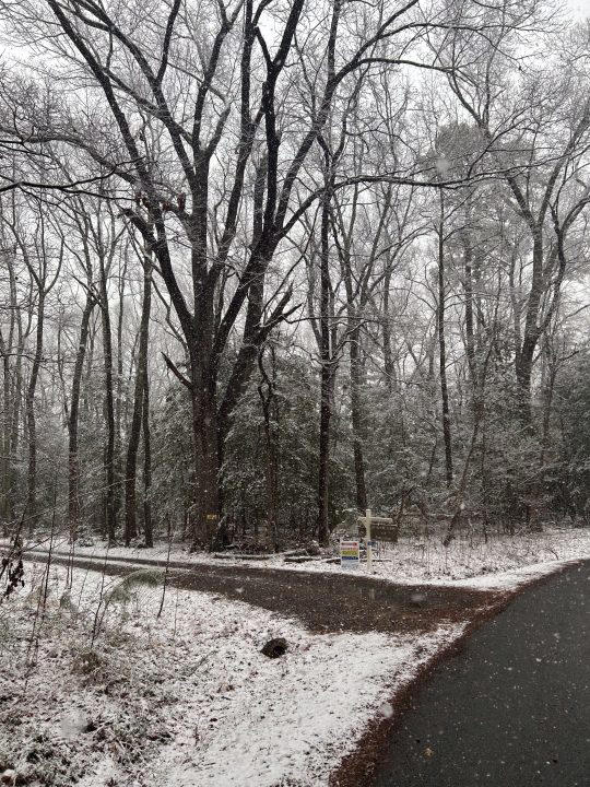 Photos: Snowfall surprises Central Virginia after warm weather