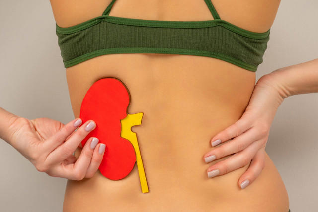 En Colombia más de un millón de personas viven con enfermedad renal crónica, muchas sin saberlo. iStock