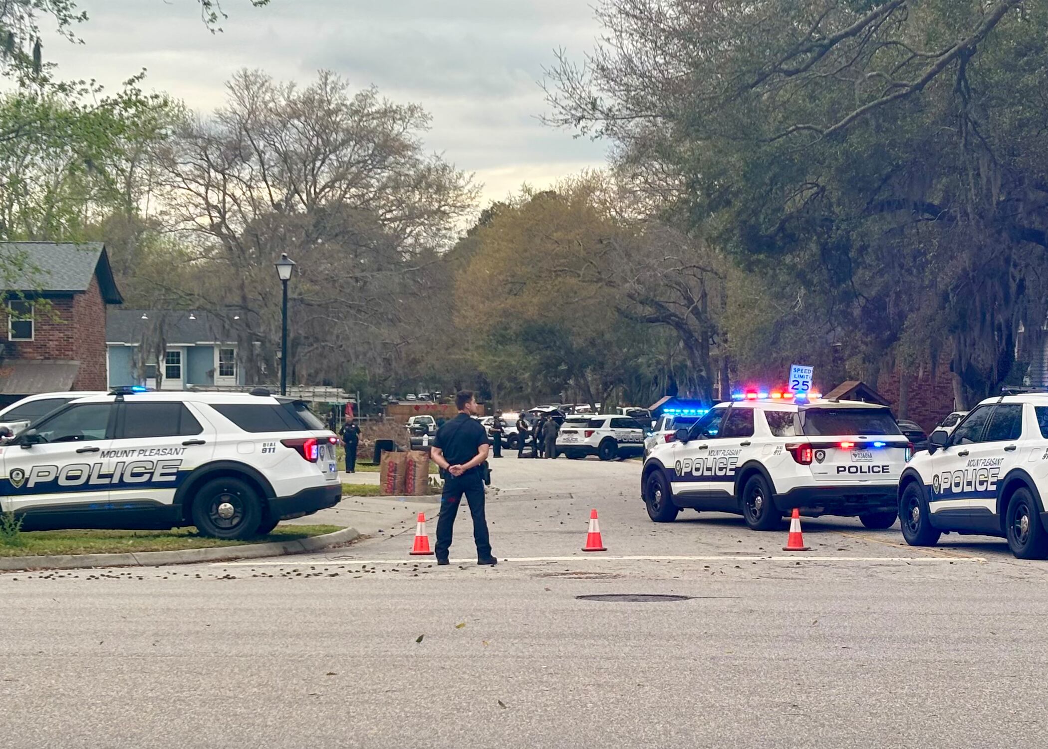 Mount Pleasant police arrest suspect after reported disturbance ...