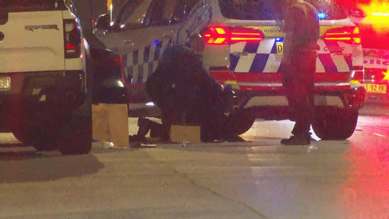 Alleged Alameddine associates shot following all-in brawl in Sydney's west