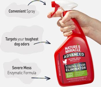 Person holding a red spray bottle of Nature's Miracle stain and odor eliminator, emphasizing tough dog odor removal