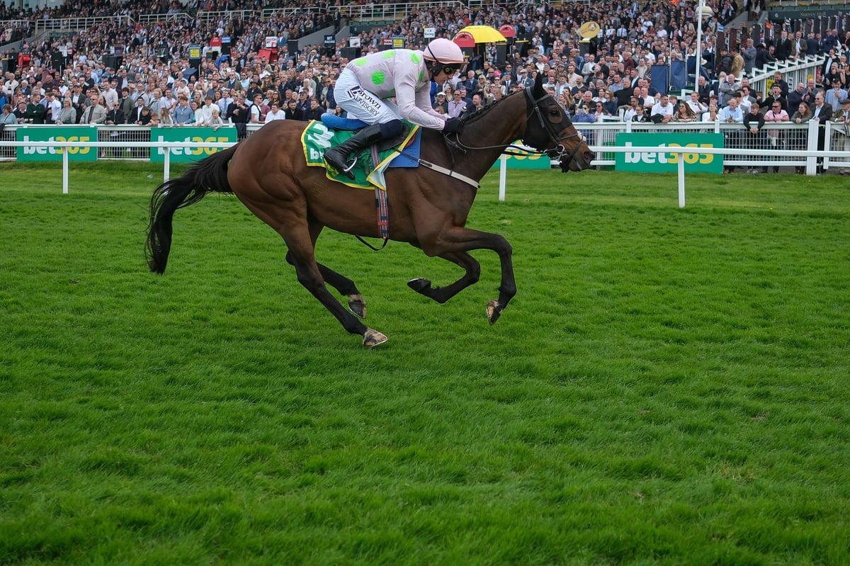 Cheltenham Gold Cup 2026 runners, riders and latest odds