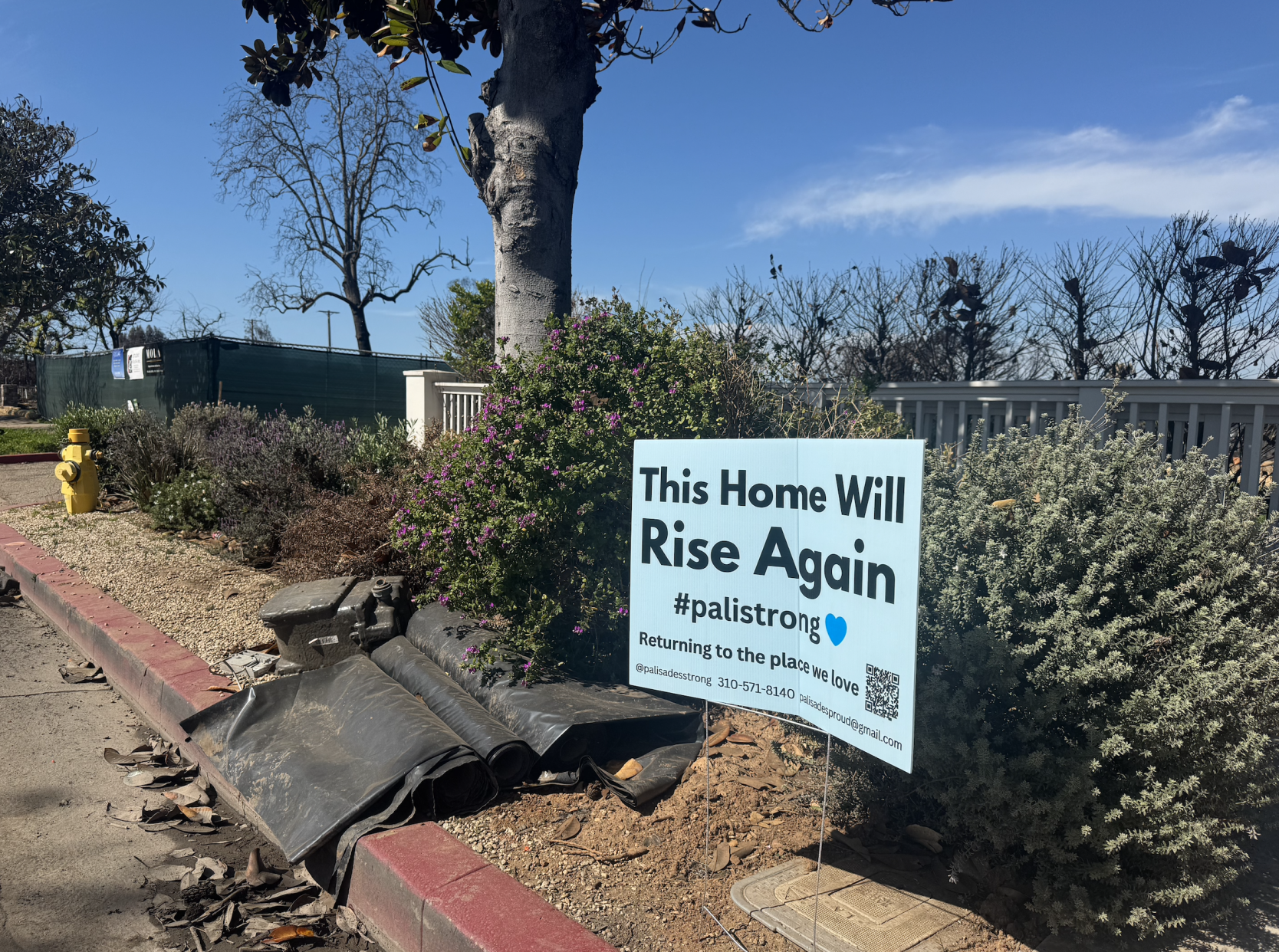 Suspected arsonist arrested in Pacific Palisades as 2025 fire trial begins