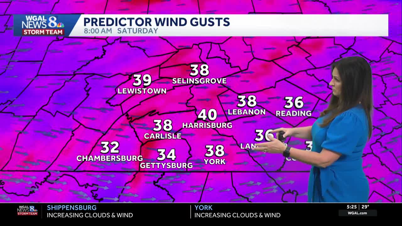 Strong wind gusts could spark power outages, down tree limbs in south ...
