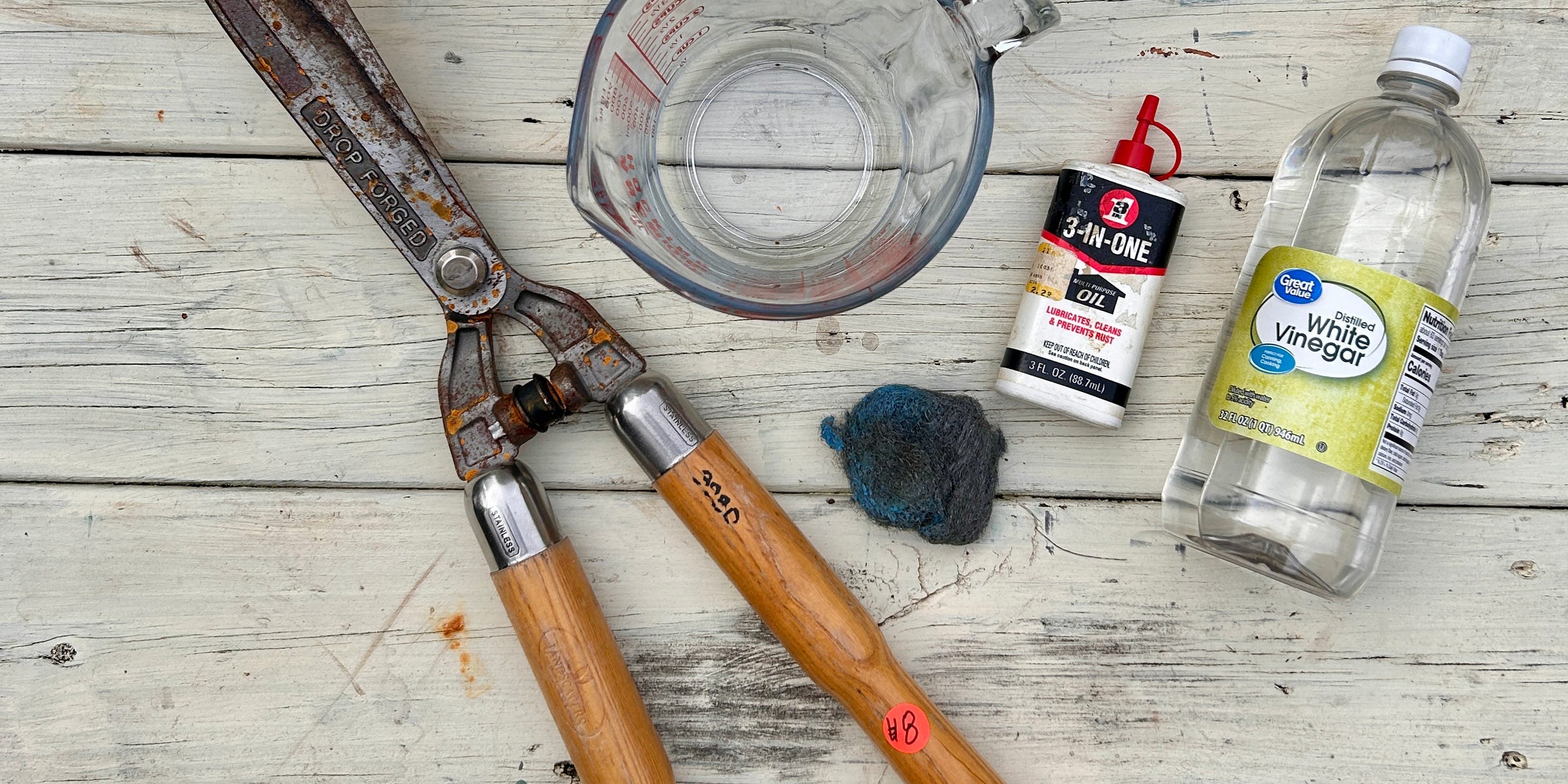 I bought rusty garden shears for $4—this pantry staple made them look new