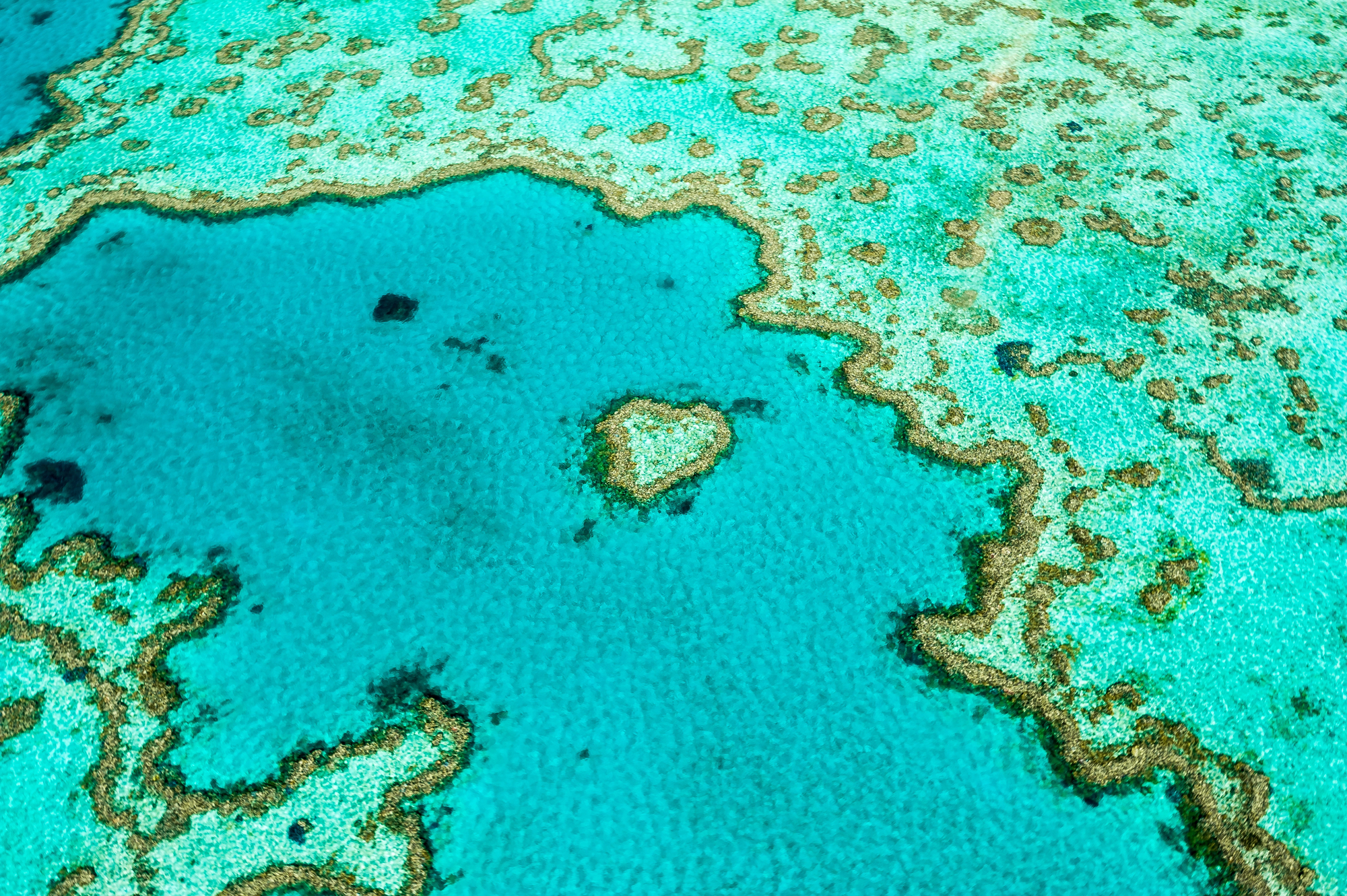 Underwater travel sites around the world worth diving for