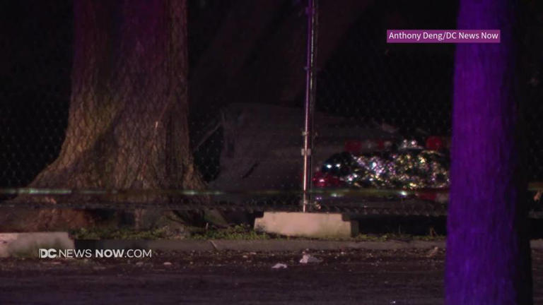 3 hurt after stolen vehicle crashes into tree near Inlet Bridge after ...