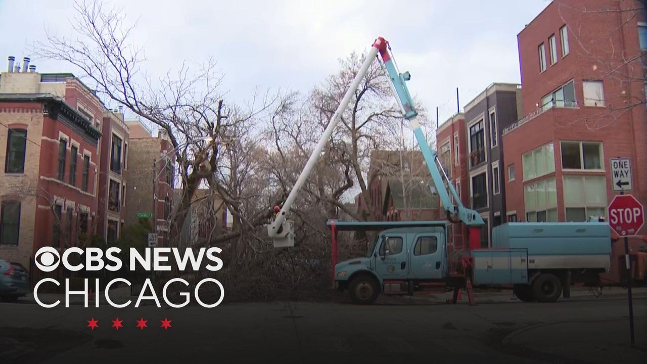 High winds in Chicago area cause power outages, ground delays at O'Hare