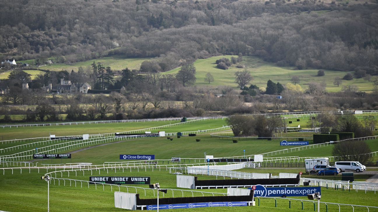 Cheltenham Festival 2026: British Horseracing Authority says deaths to ...