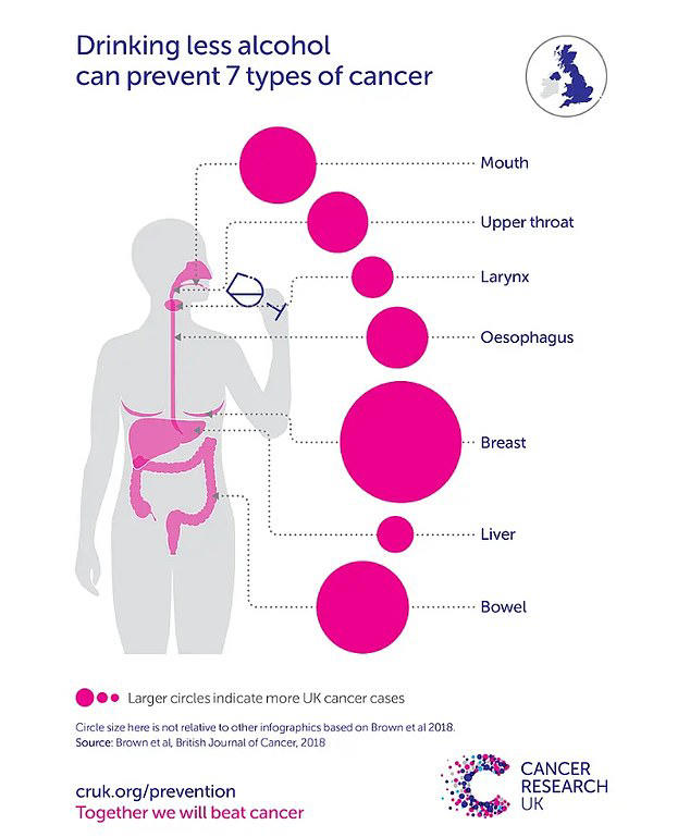 The cancers linked to alcohol as the Princess of Wales reveals new ...
