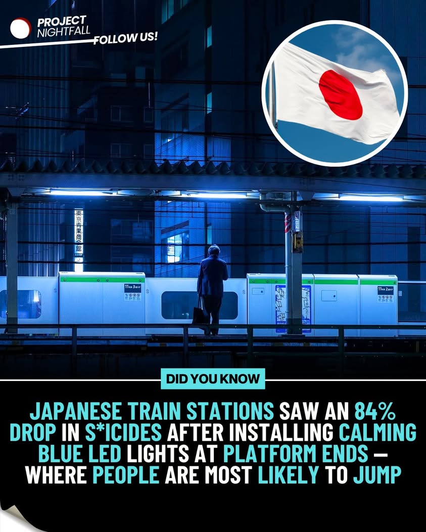 Silent savior: Blue lights halt Japan's suicide crisis, slashing deaths ...