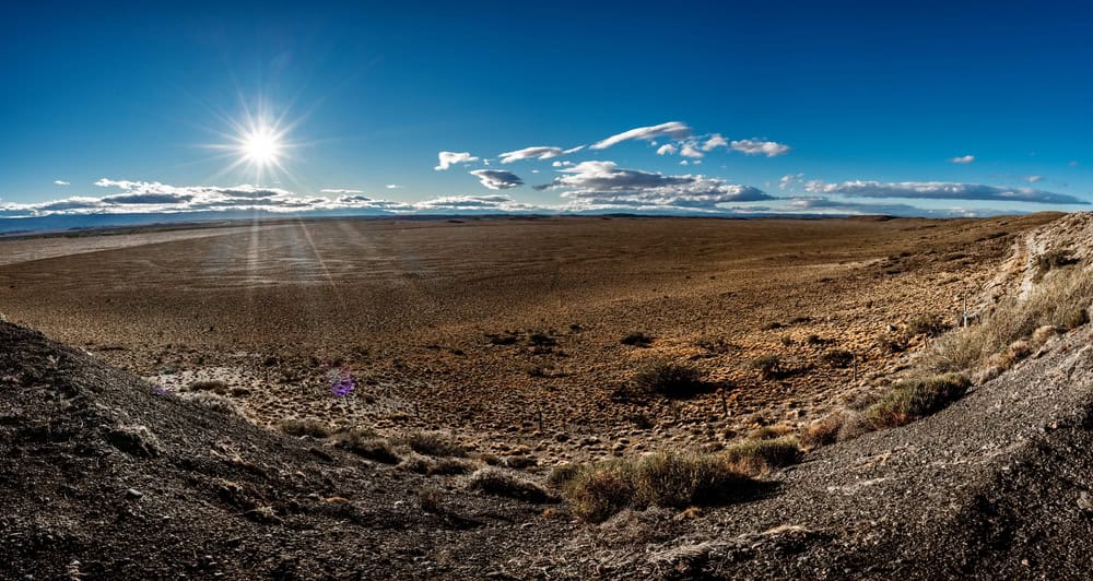 Meet the desert lizard with one of the most dramatic defense displays
