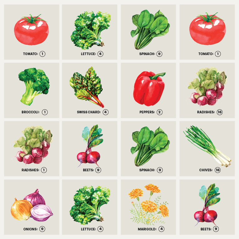 Gardening pros recommend this method to maximize your space
