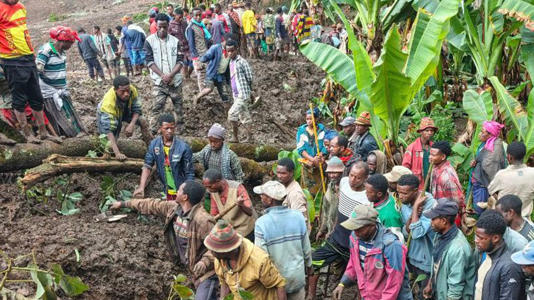 Locals search for the bodies of mudslide victims in the Gacho Baba district of the Gamo Zone in southern Ethiopia. Pic: AP