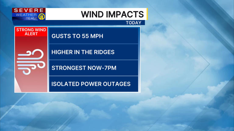 High wind warning issued for multiple local counties as strong gusts ...