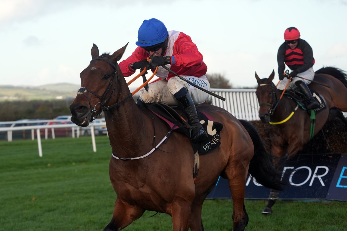 Gold Cup horse is third to die at Cheltenham Festival after collapse