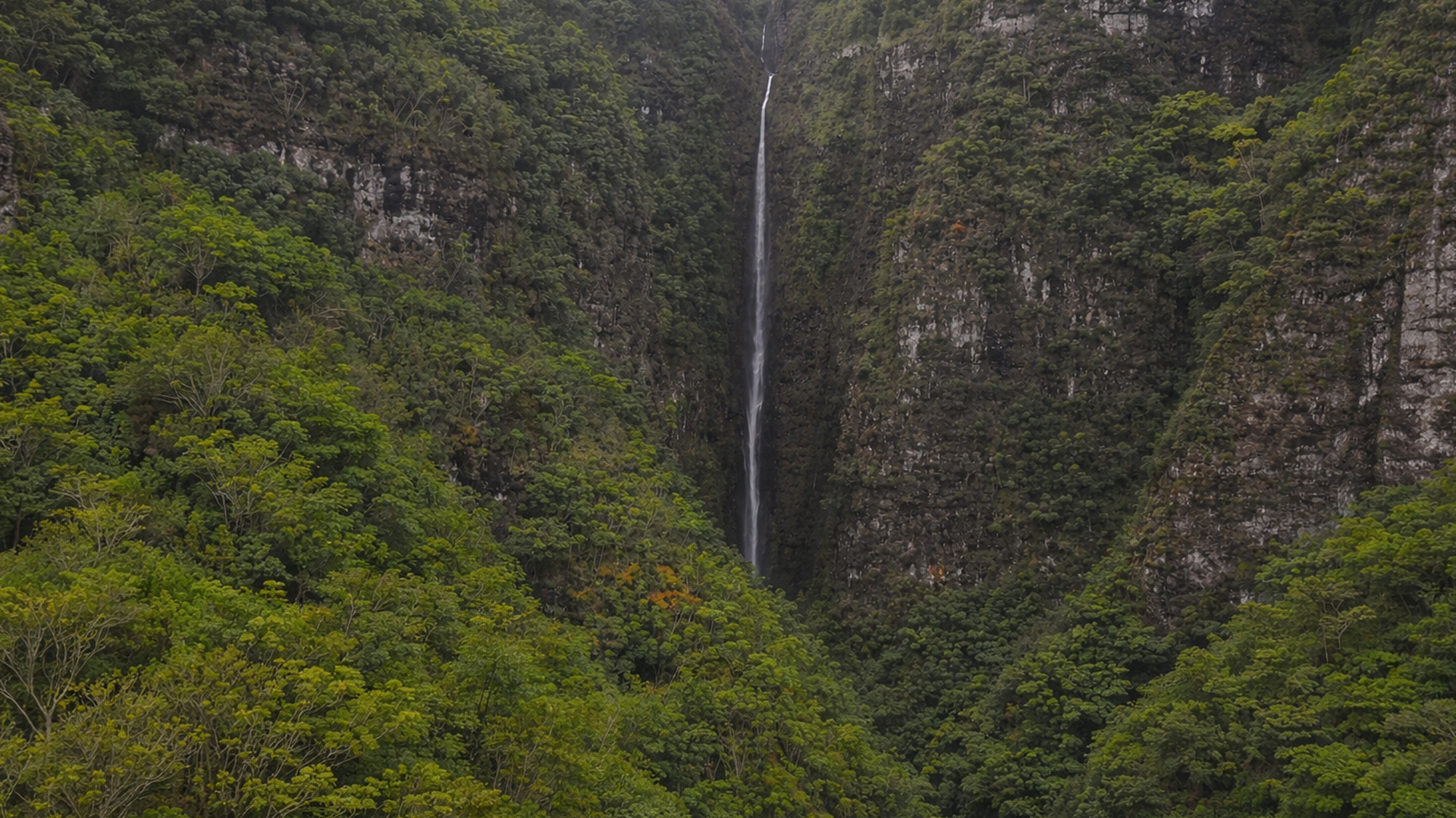 Would you hike to this hidden waterfall?